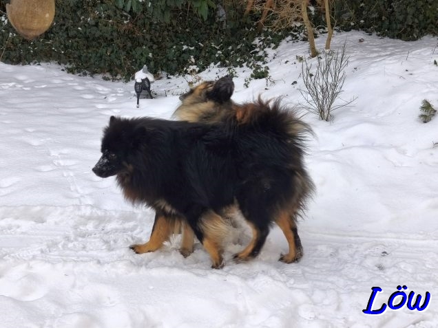 11.1.2026 - Schneegerempel